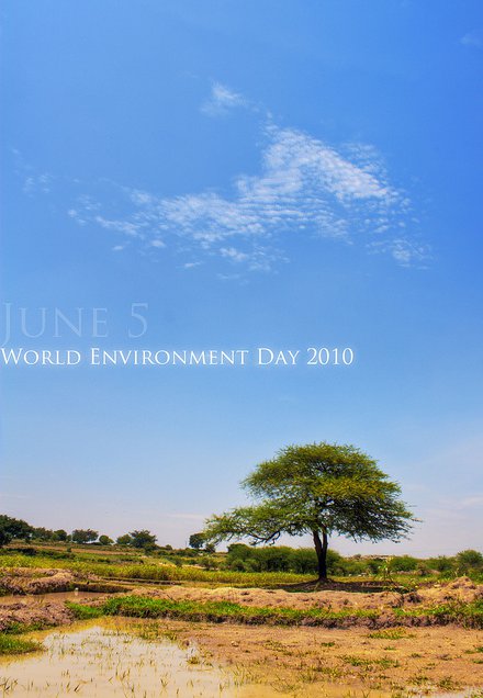 Poster Hari Lingkungan Hidup