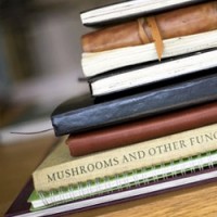 Cara mendapatkan gambar pertama dalam konten WordPress